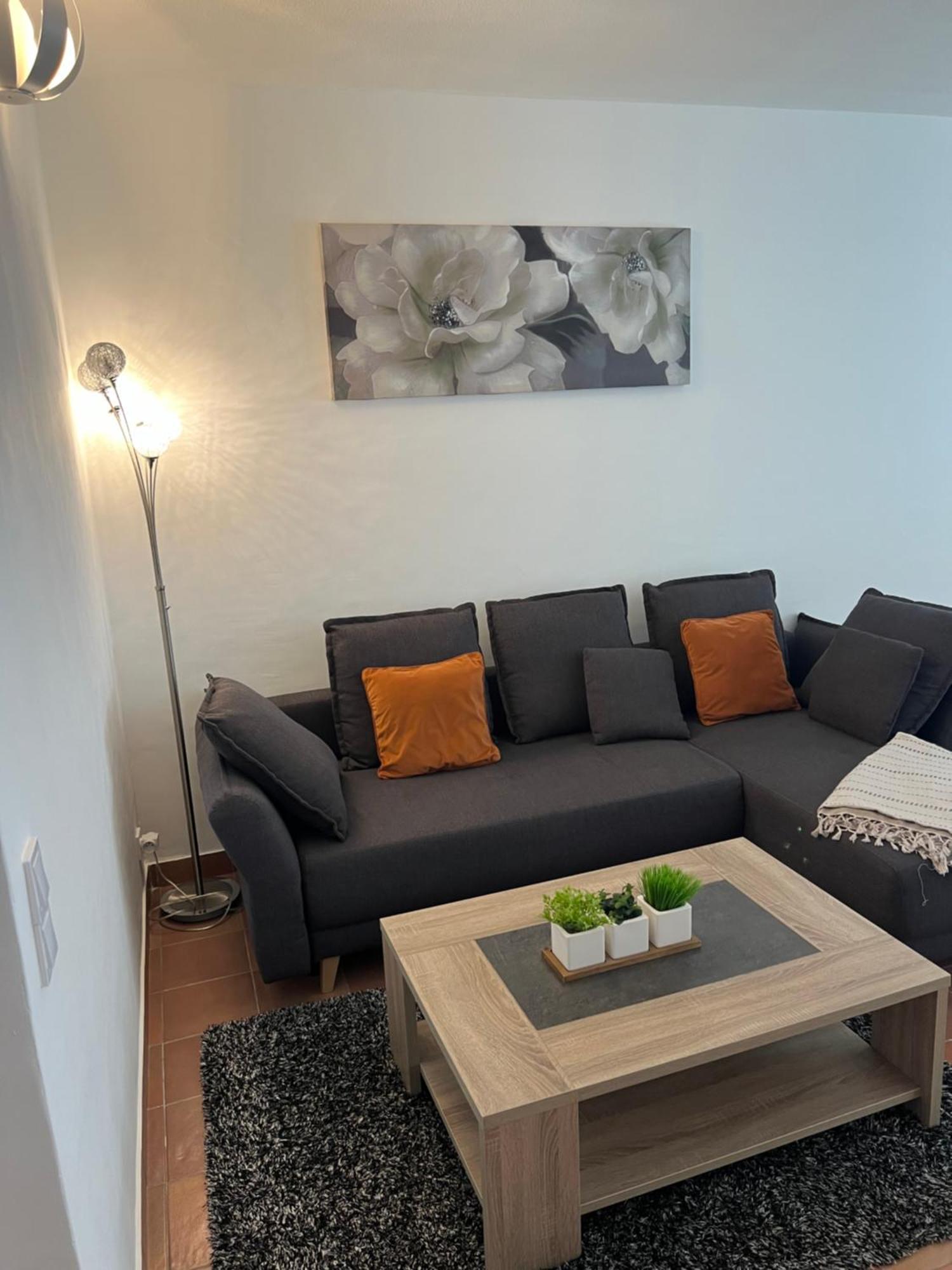 Magnifique Appartement Proche Des Plages Plus Garage Prive Antibes Exterior foto